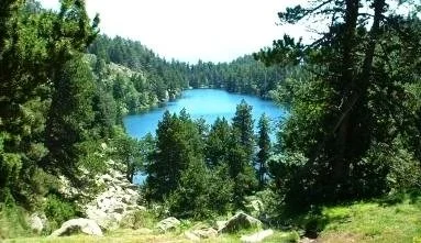Lac entouré d'arbres et de forêts dans une région montagneuse.
