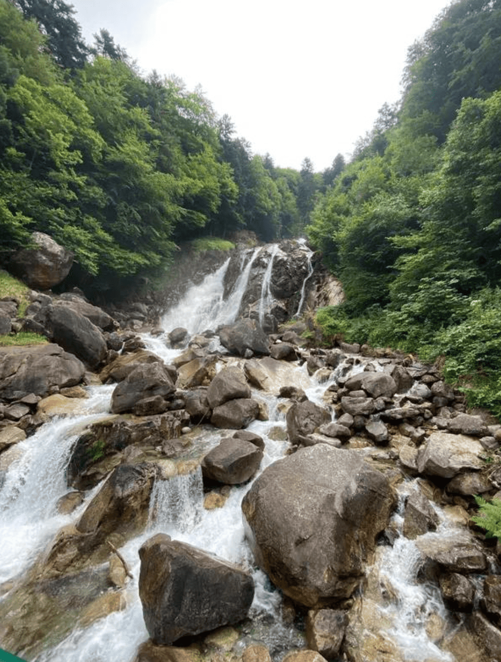 Cascade d'eau dans une forêt avec des rochers autour.