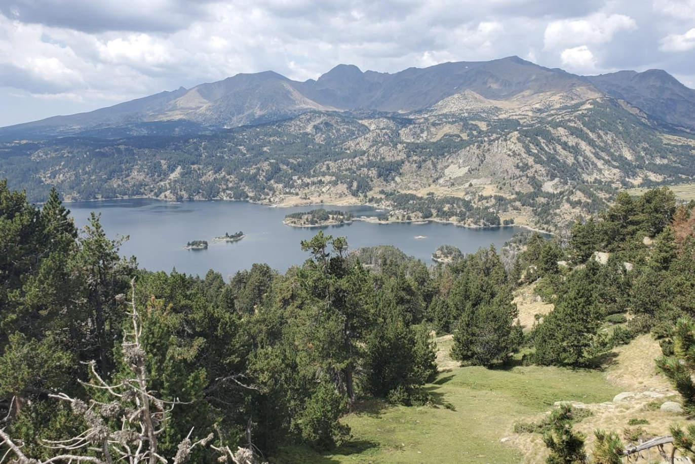 Vallée montagneuse avec un lac, arbres verts et montagnes en arrière-plan.
