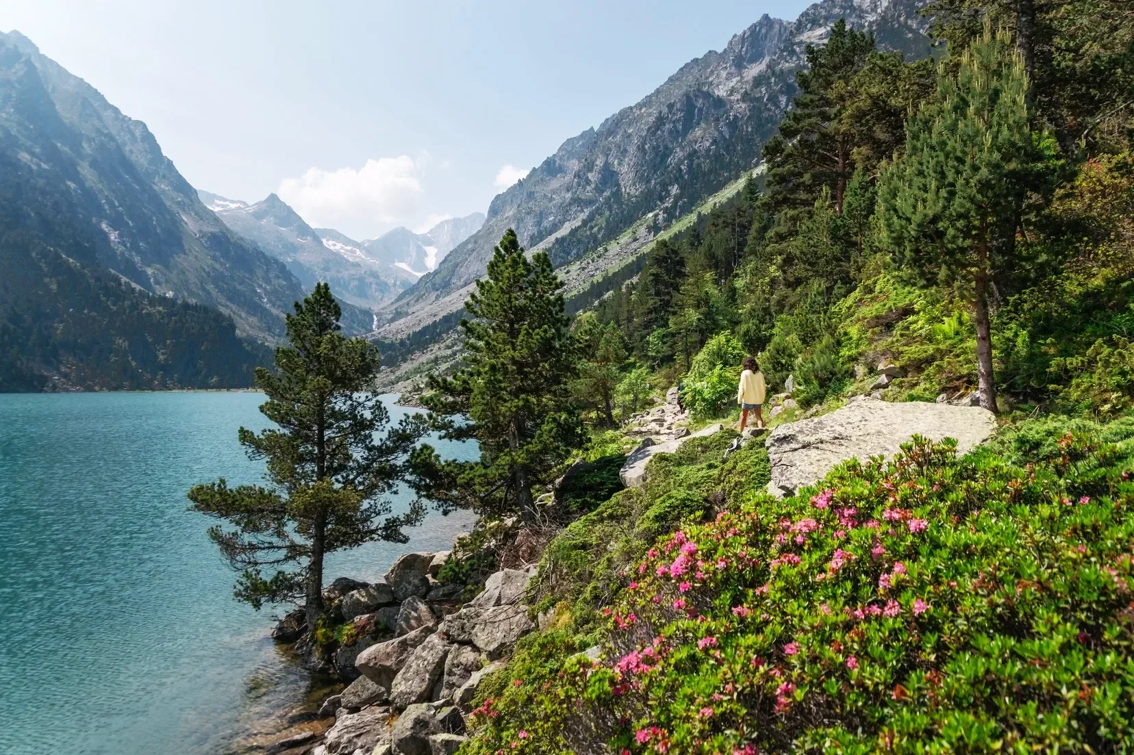 Un lac de montagne entouré d'arbres verts, avec des montagnes enneigées en arrière-plan. Une personne marche sur un sentier rocheux avec des fleurs roses en premier plan.
