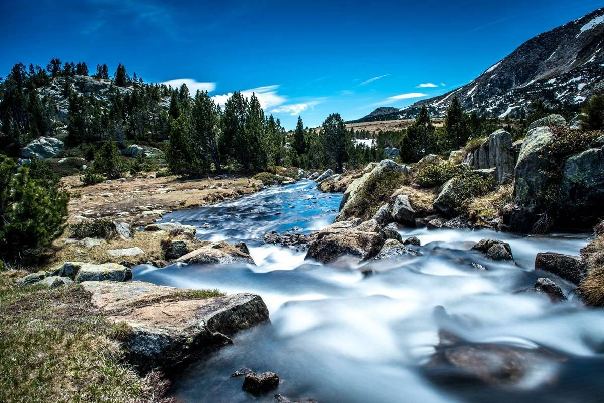 Rivière de montagne traversant une forêt avec rochers, sous un ciel bleu avec quelques nuages.