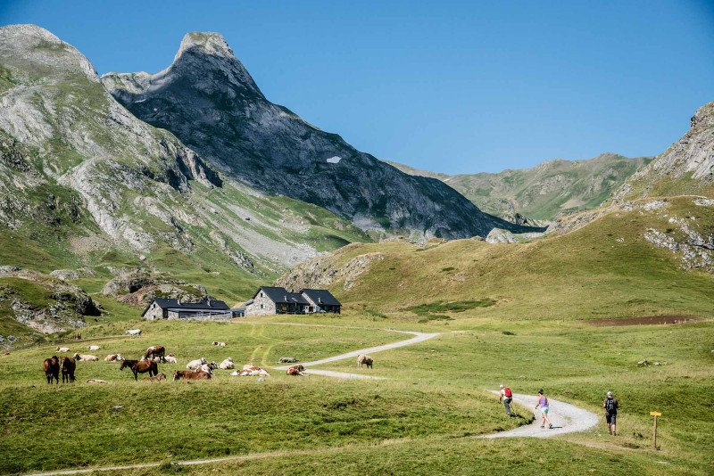 Paysage de montagnes vertes avec pâturages, un groupe de randonneurs, des maisons en pierre, et des vaches sur un chemin.