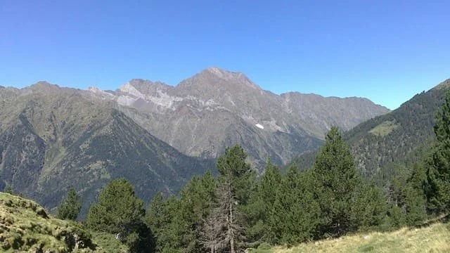 Montagnes avec des arbres verts au premier plan et un ciel bleu clair.
