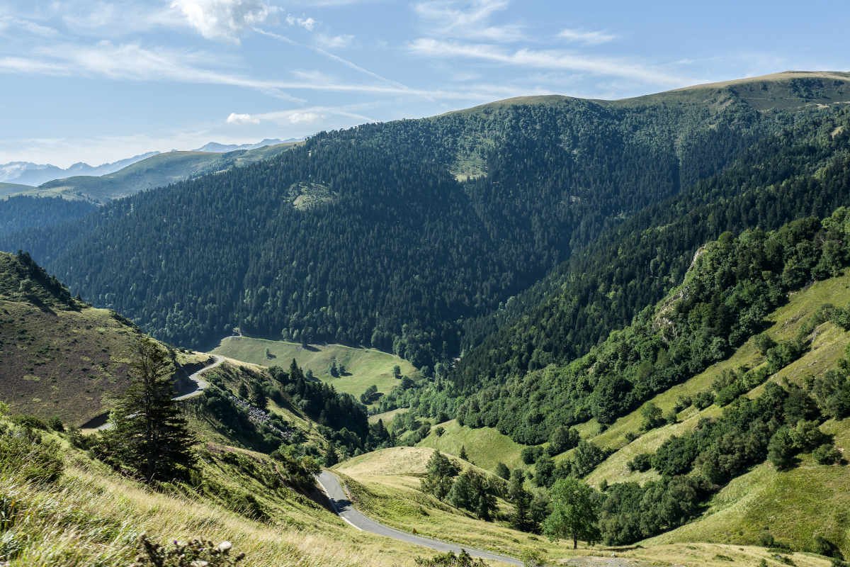 Paysage de montagnes verdoyantes avec des forêts, des collines, un chemin sinueux, un ciel bleu avec quelques nuages.