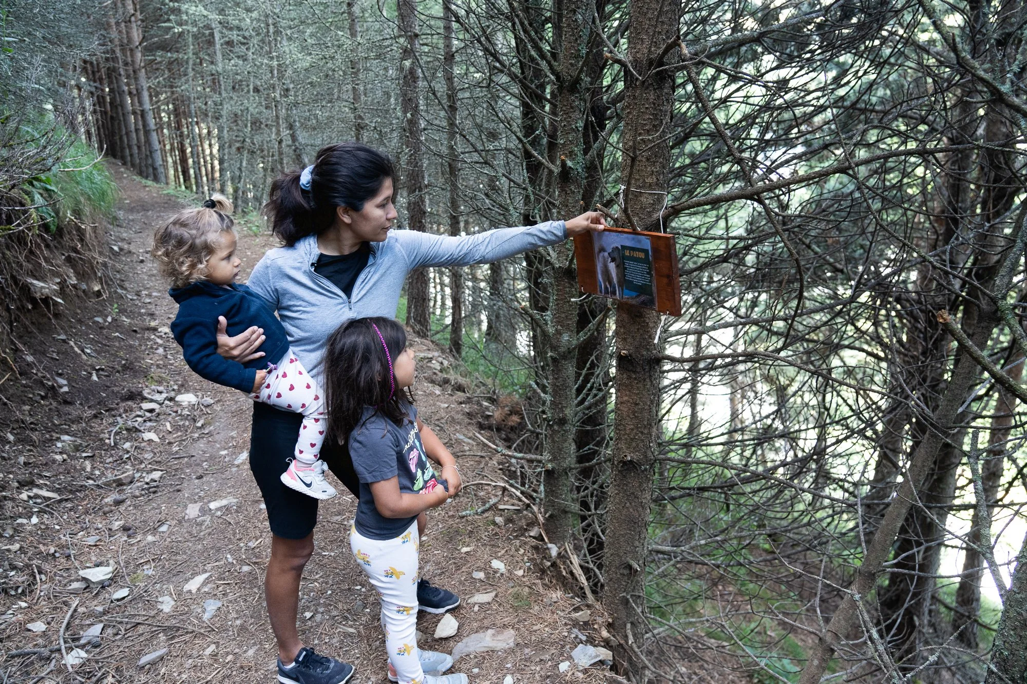 Une femme avec deux enfants observe un panneau d'information dans une forêt. La femme porte un sweat gris, une jupe noire et tient un enfant dans ses bras. La fille porte un t-shirt gris à manches longues avec des motifs colorés et un pantalon blanc.