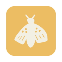 Icône d'une mouche blanche sur fond beige