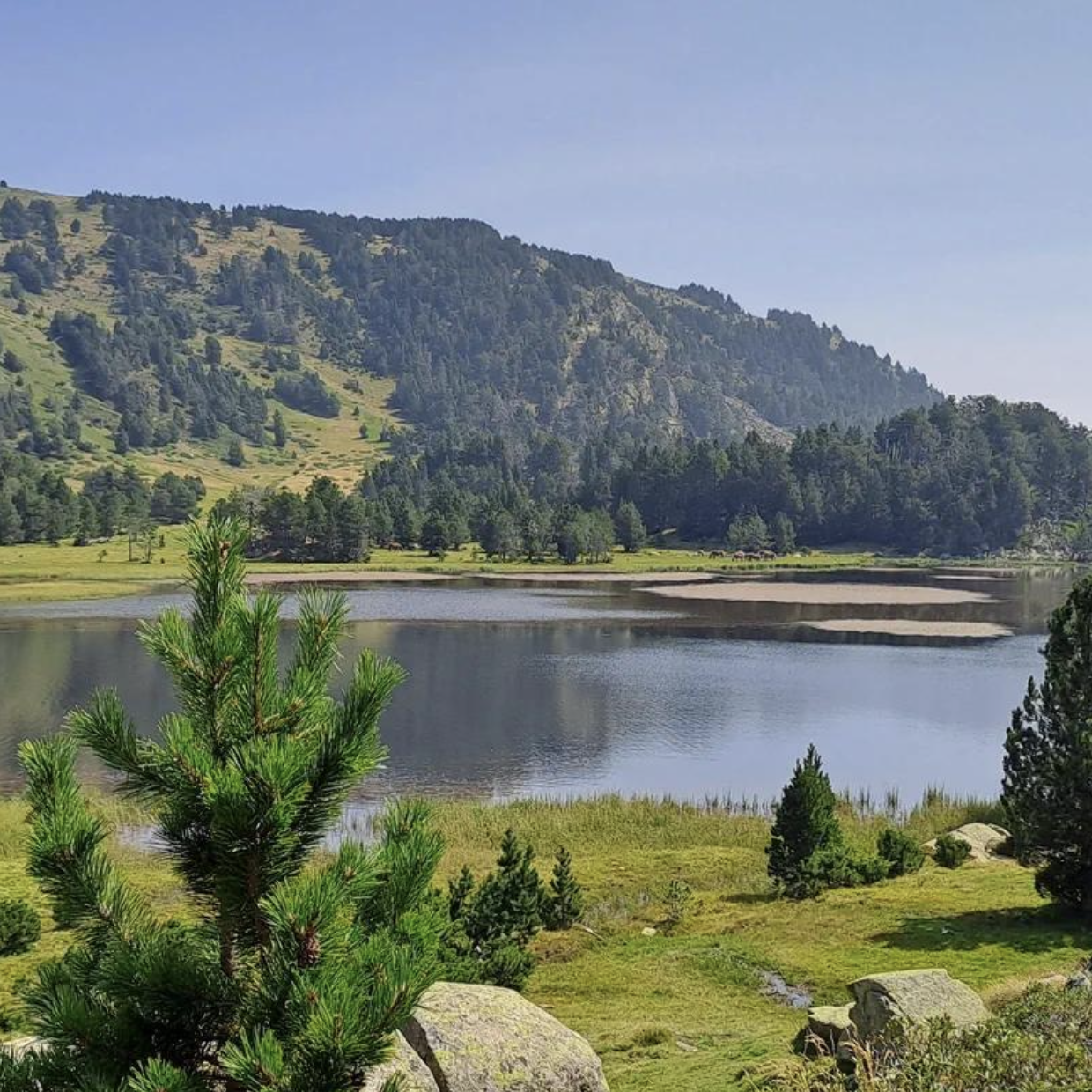 Un paysage de montagne avec un lac, entouré d'arbres et de herbes vertes, avec une vallée calme au bord de l'eau.