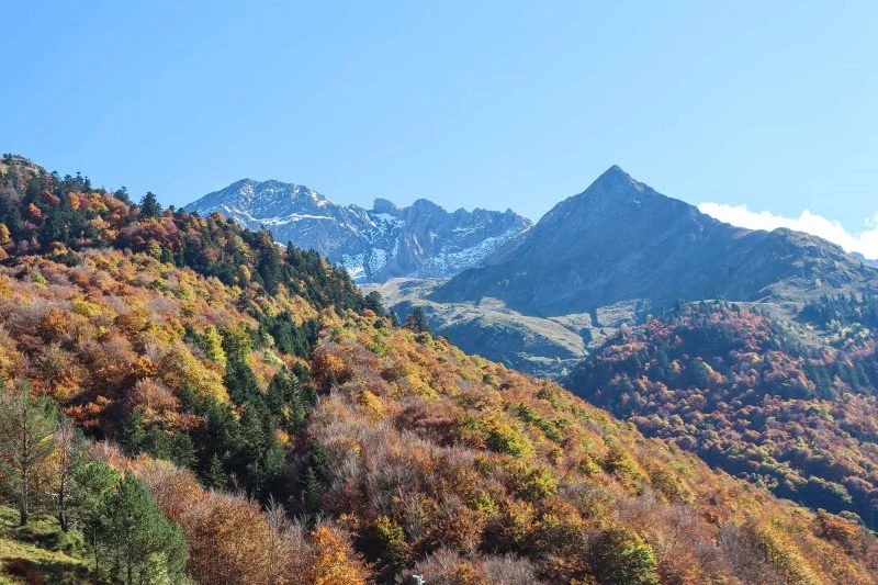 Paysage montagneux avec des sommets enneigés et des forêts aux couleurs d'automne.