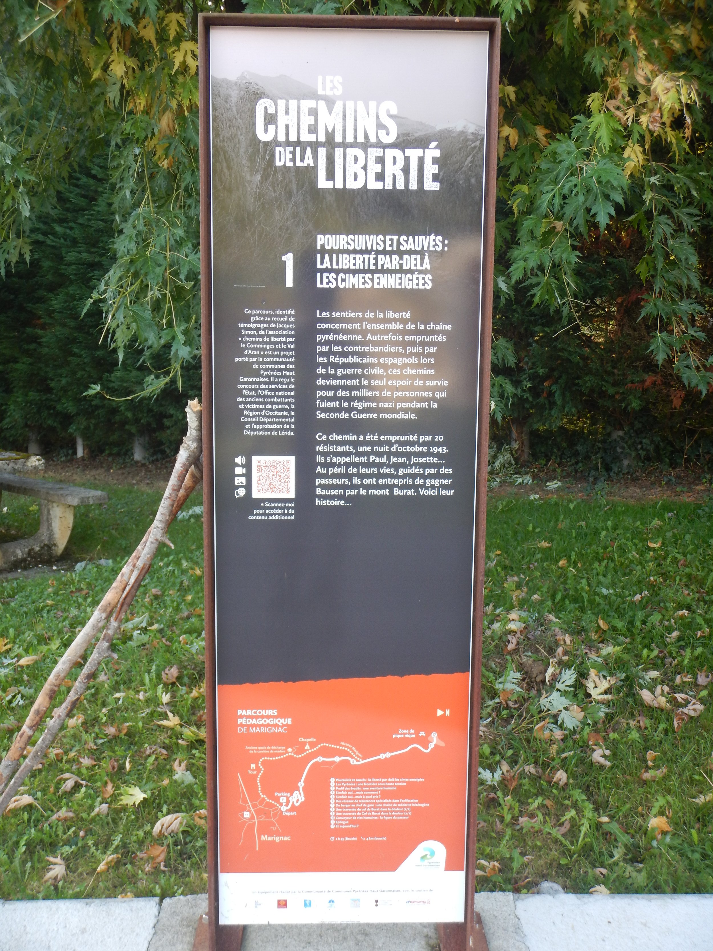 DSCN4216.JPG