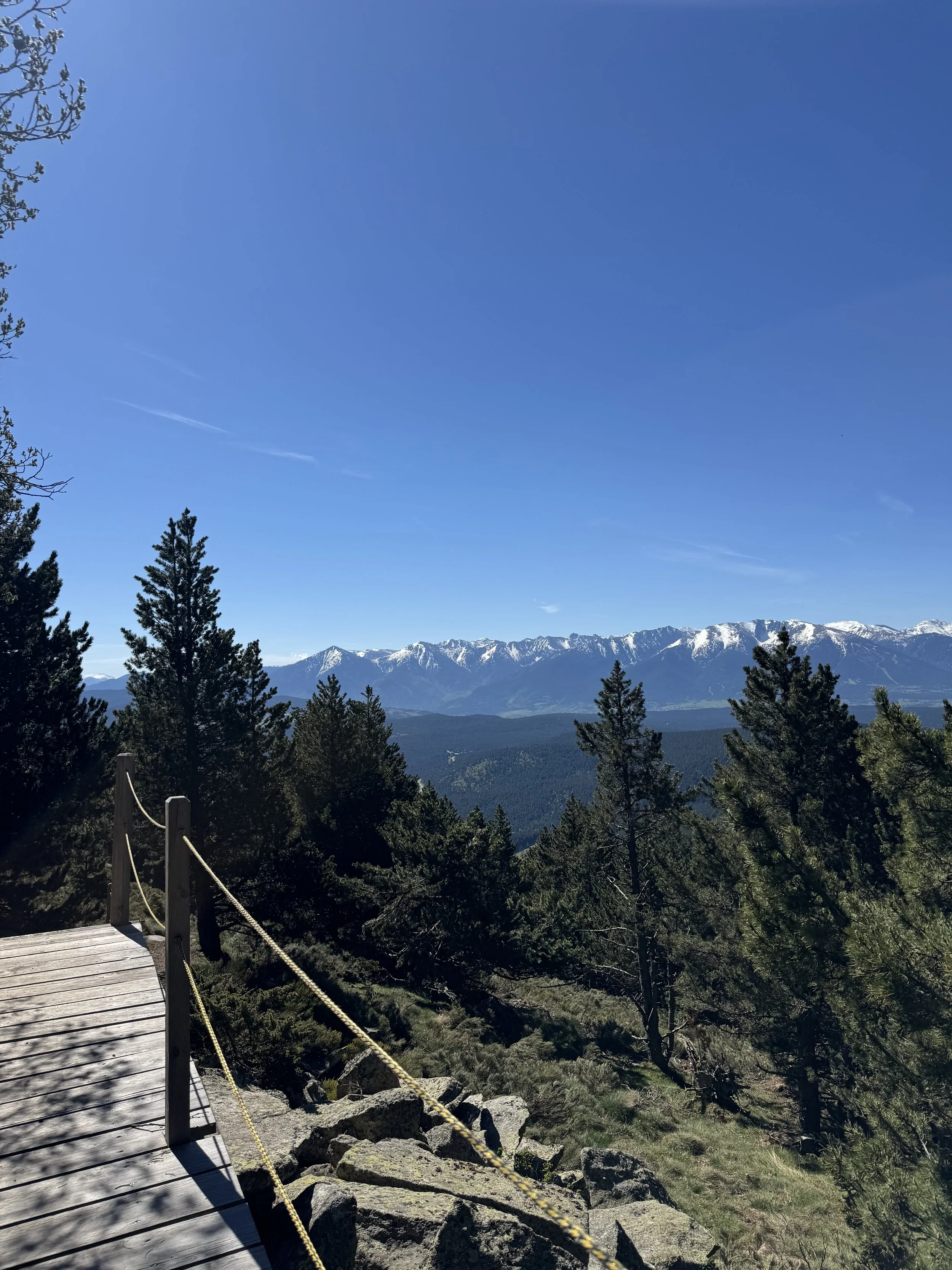 Paysage de montagnes avec un lac, des arbres verts, des fleurs roses et un ciel bleu clair.