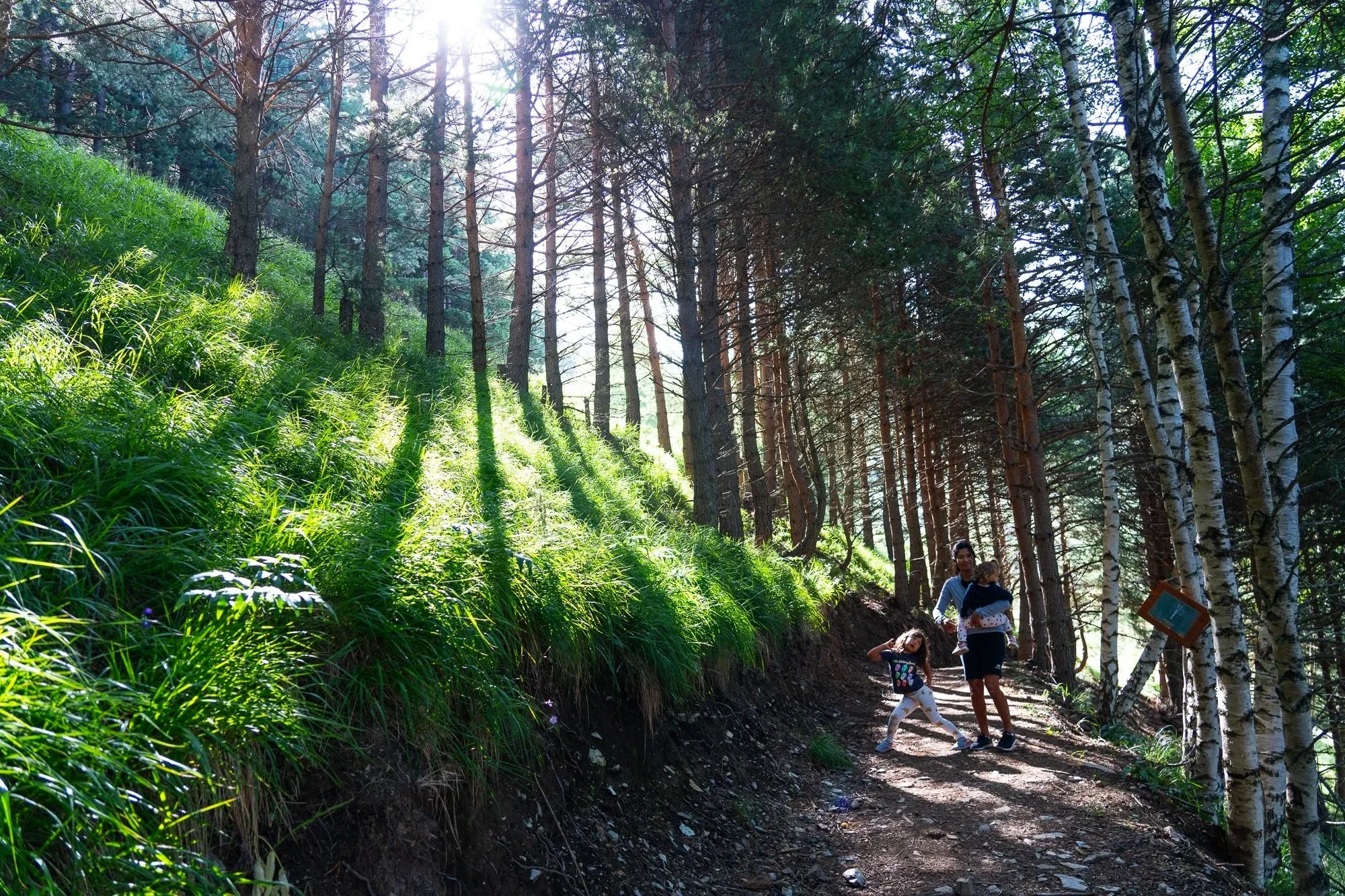 Une famille avec deux enfants marche dans une forêt ensoleillée, entourée d'arbres et de végétation verte.