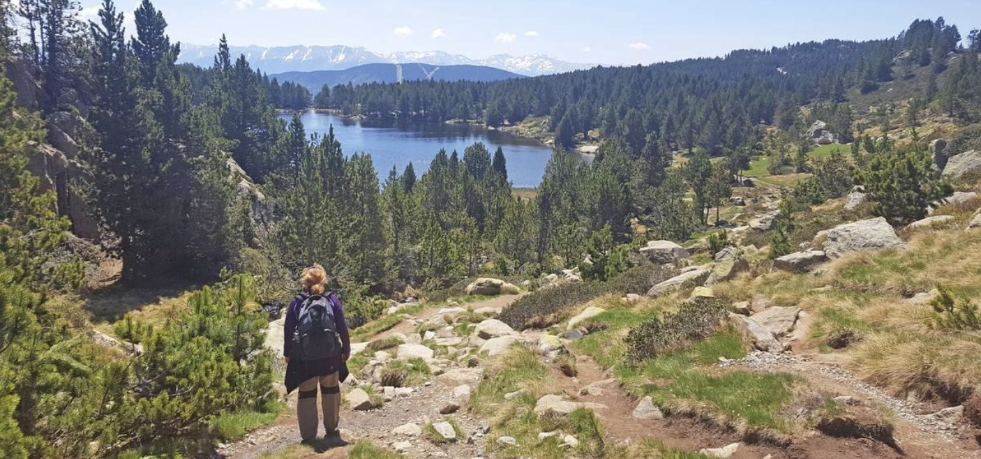 Une personne marche sur un sentier de montagne entourée d'arbres, avec un lac et des montagnes enneigées en arrière-plan.