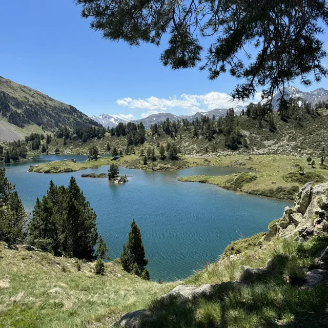 Un lac entouré de montagnes, d'arbres et de prairies avec un ciel bleu et quelques nuages.