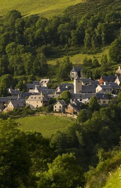 Petit village médiéval avec maisons en pierre et tours, entouré de collines verdoyantes et de forêts.