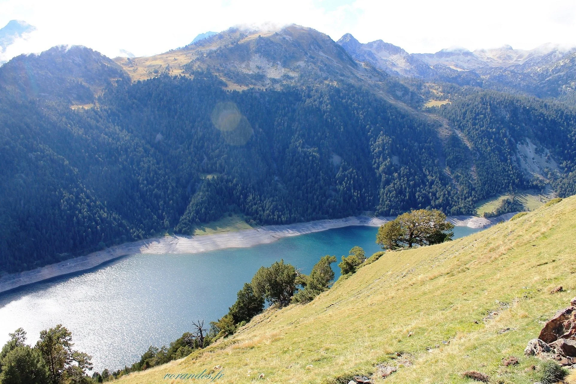 Une vue panoramique de montagnes verdoyantes entourant un lac avec une berge rocheuse, quelques arbres isolés sur une pente herbeuse en premier plan sous un ciel en partie nuageux.