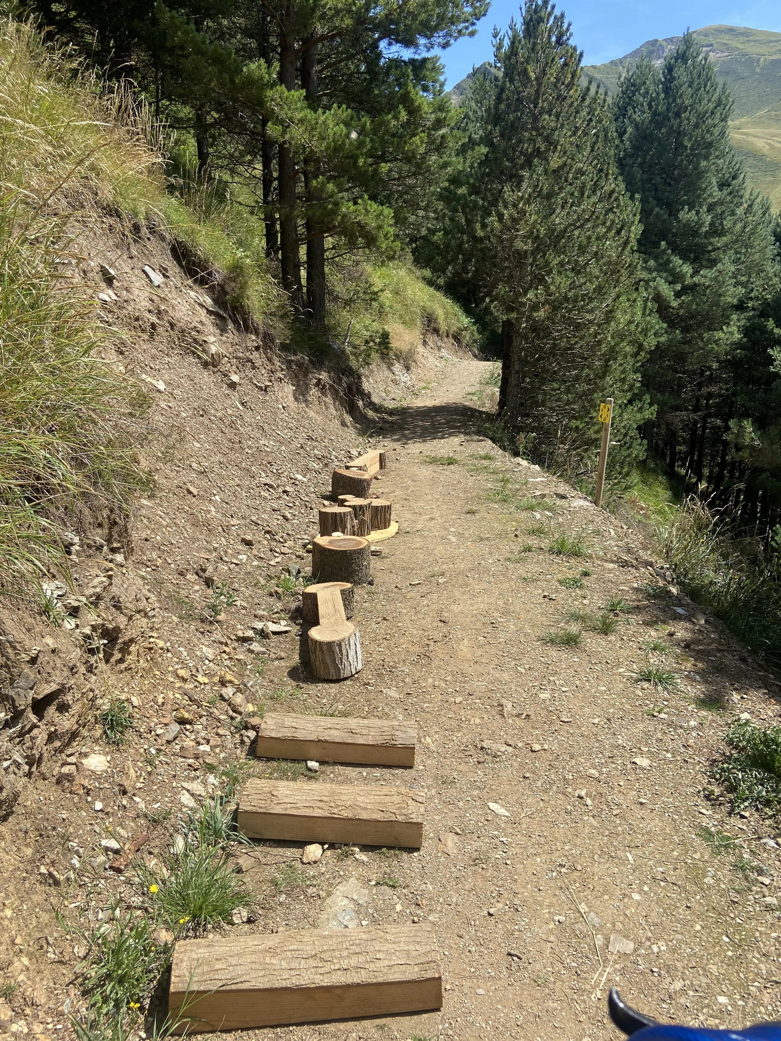 Chemin de terre en montagne bordé d'arbres verts, avec des troncs en bois pour délimiter le sentier, en milieu ensoleillé avec un ciel bleu.