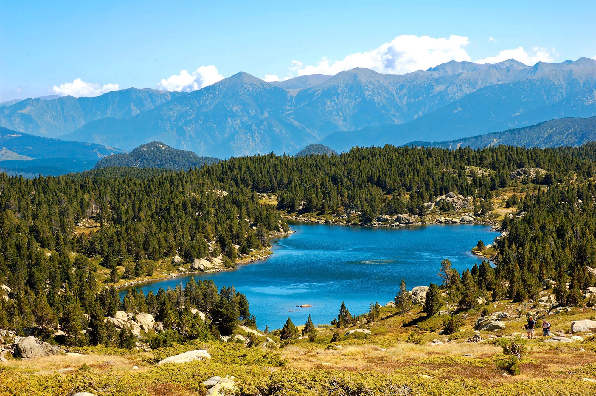 Un lac entouré de forêts de conifères, avec des montagnes en arrière-plan et un ciel bleu avec quelques nuages.