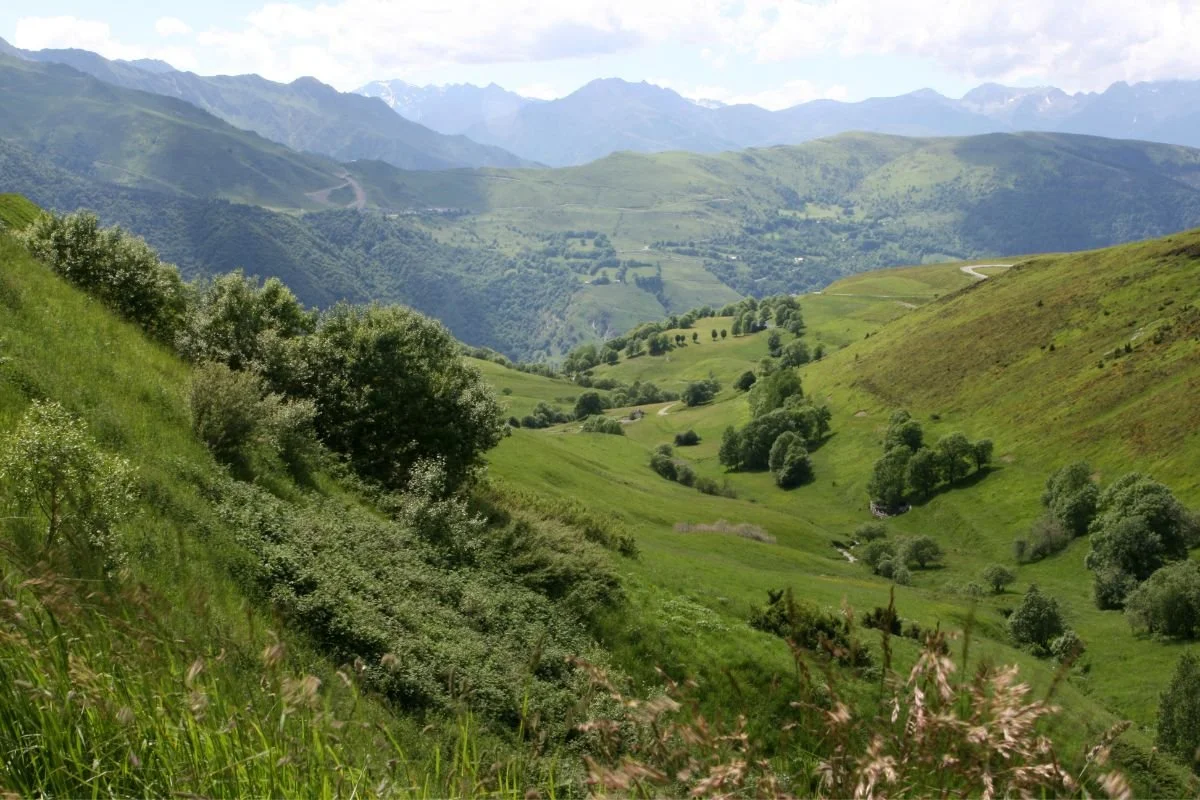 Paysage de montagnes vertes avec des vallées, des arbres et des sentiers