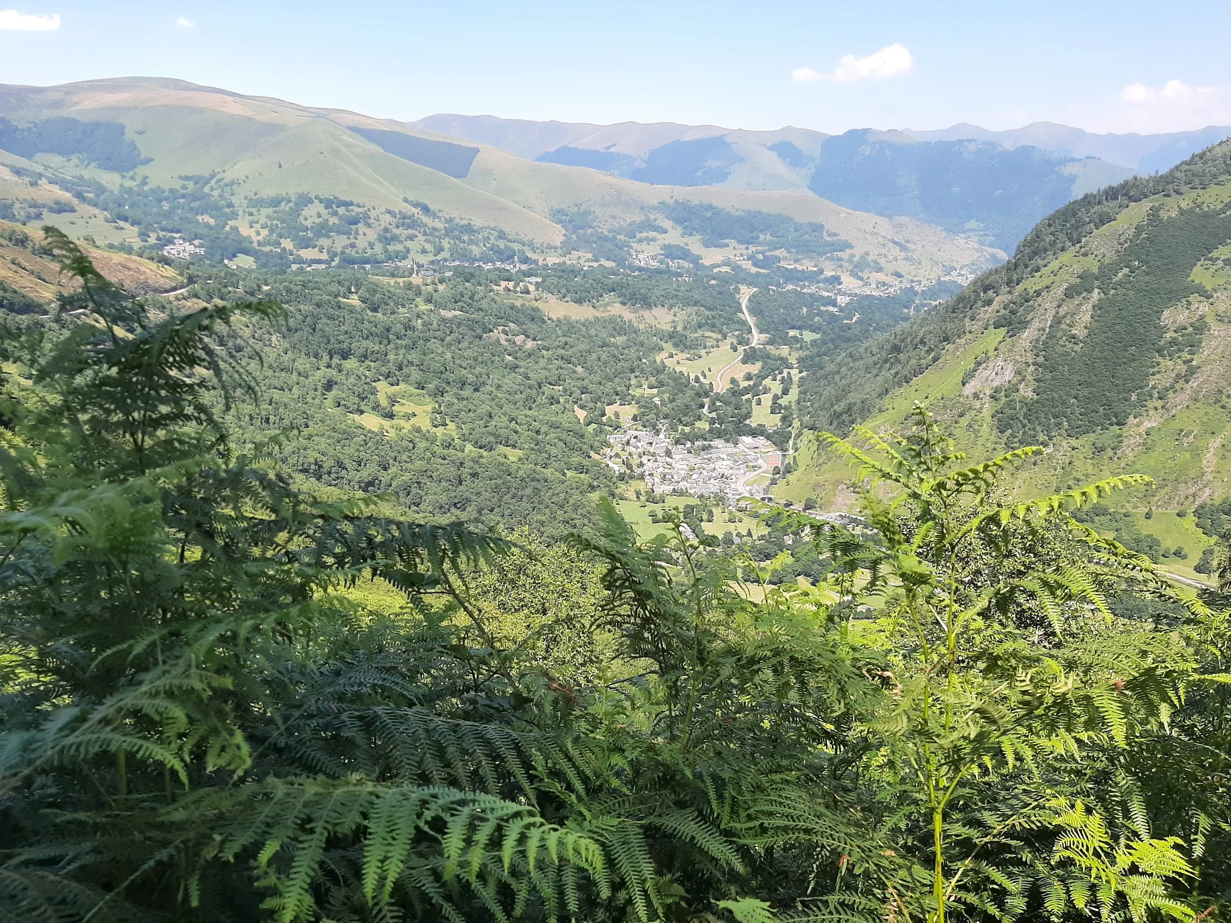 20210729-161315.jpg