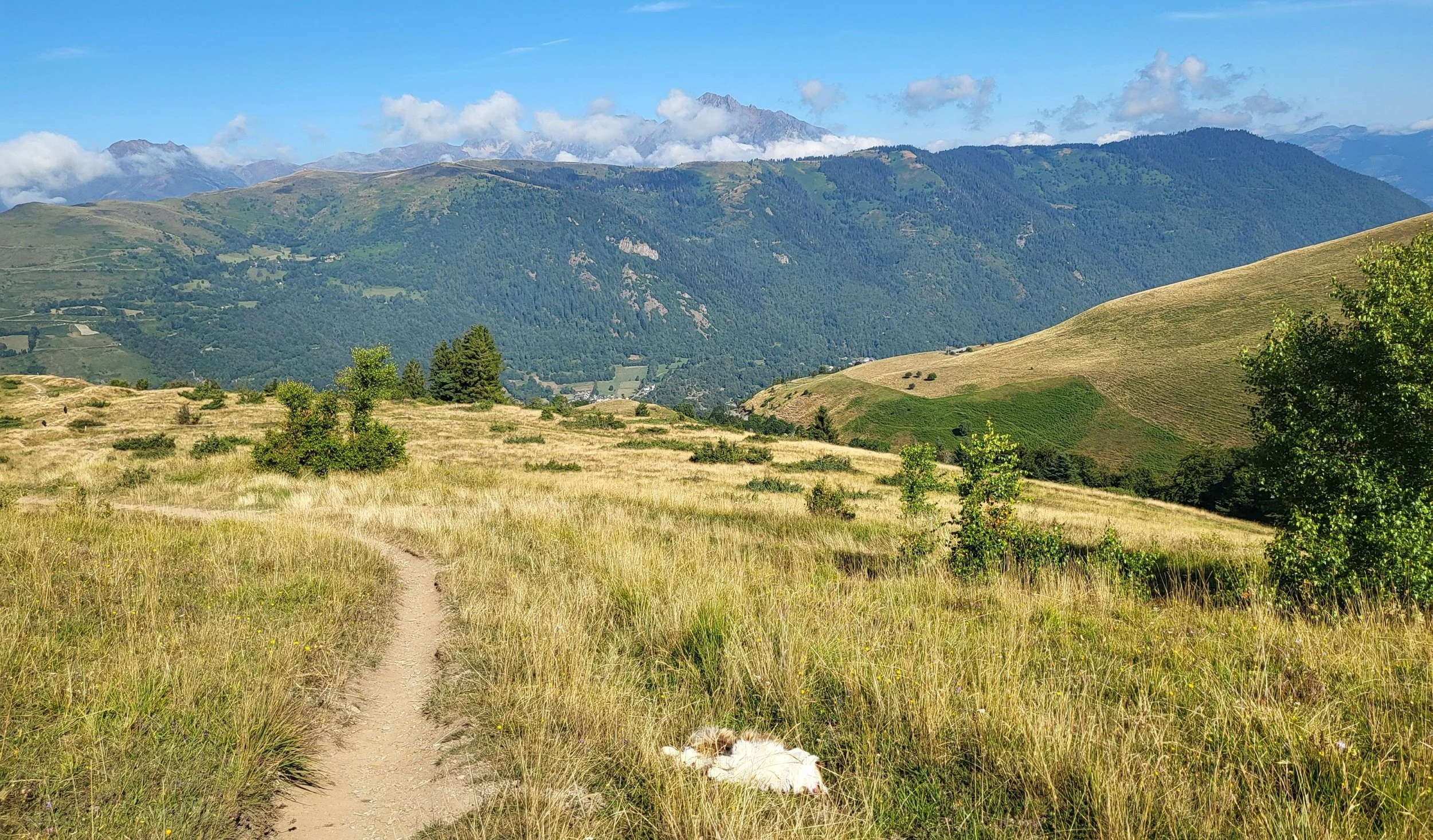 Un chemin de terre traverse un champ d'herbe jaunie et verte, avec quelques arbres, dans un paysage montagneux avec des collines verdoyantes et des montagnes en arrière-plan sous un ciel bleu avec quelques nuages.