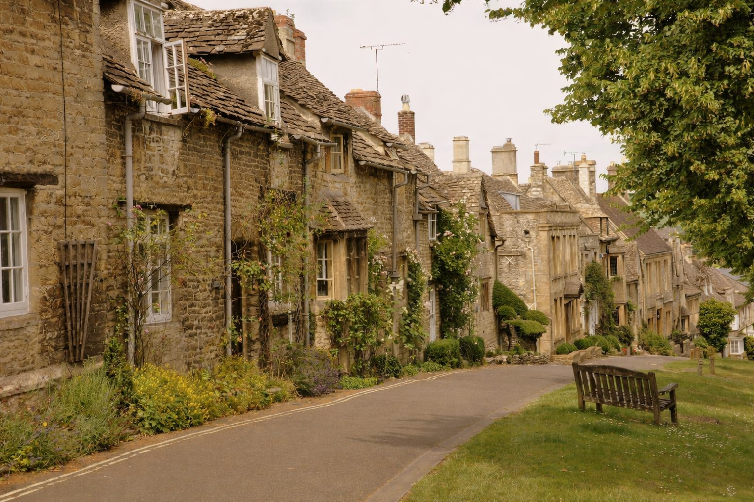 A peaceful street lined with stone houses with small windows, some with shutters, and rooftops with chimneys. There is a curved road, green grass, and a wooden bench on the grassy area, with plants and trees along the street.