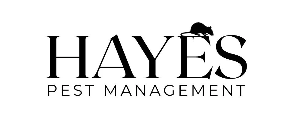 Hayes Pest Management