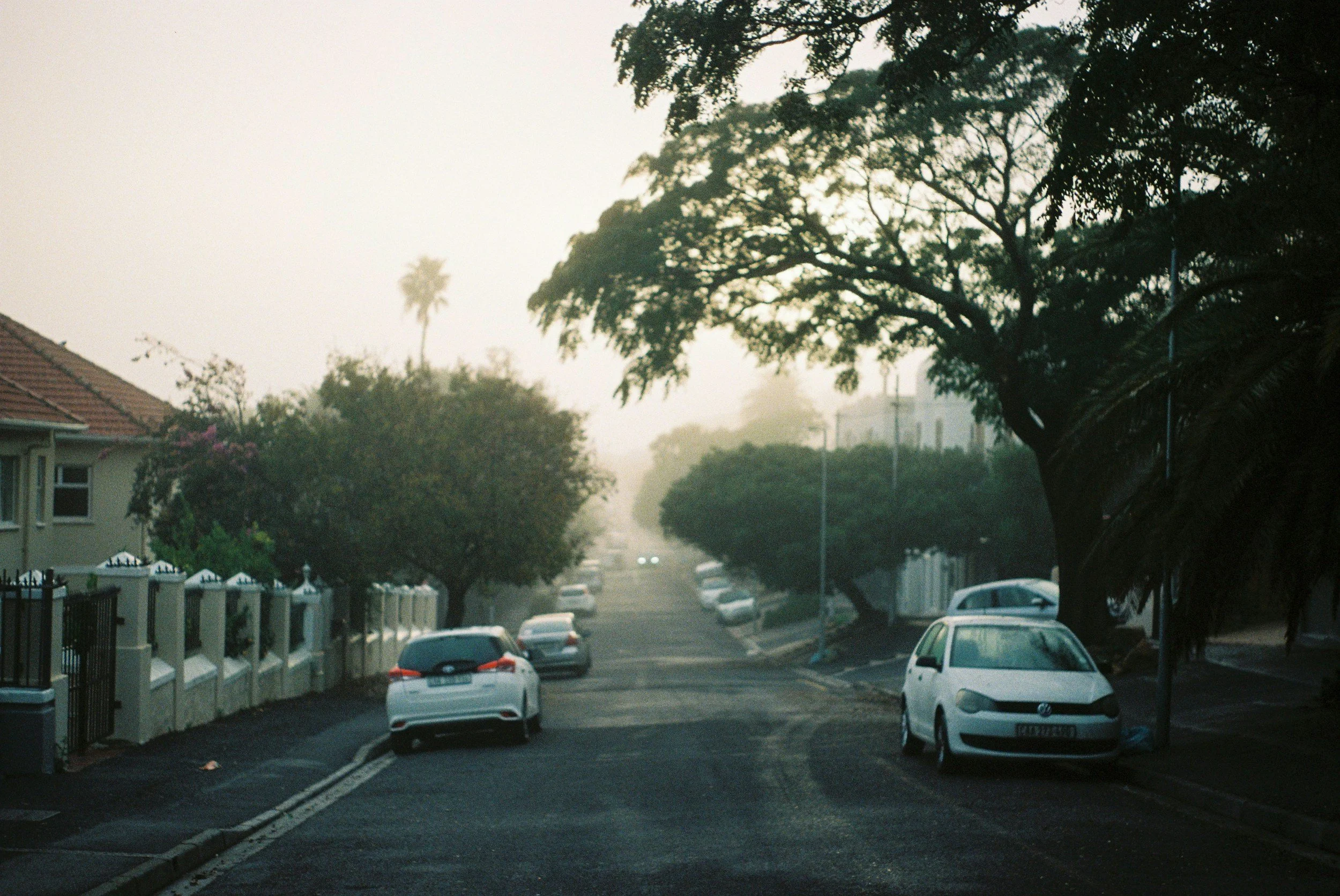 A residential street lined with parked cars, trees, and houses, with a hazy, foggy atmosphere.