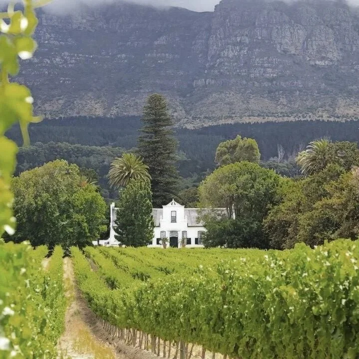 Cape+Winelands.jpg