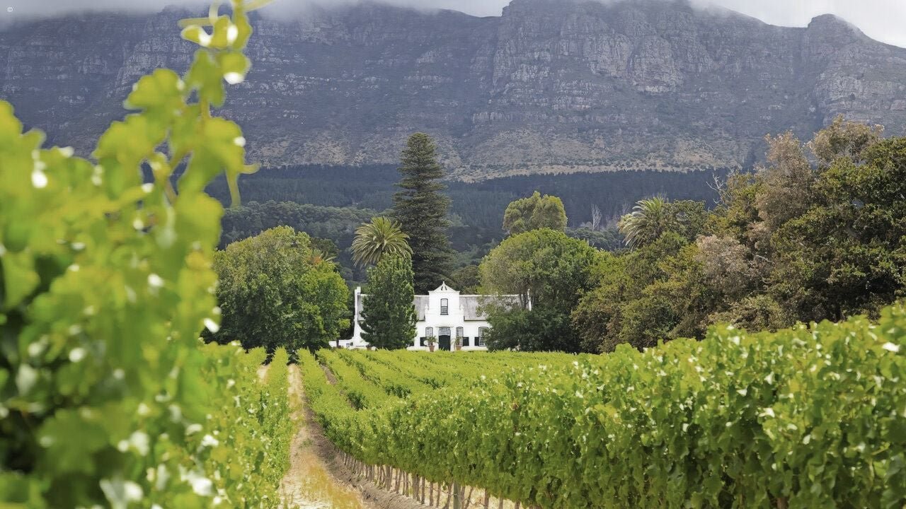 Cape Winelands Tour