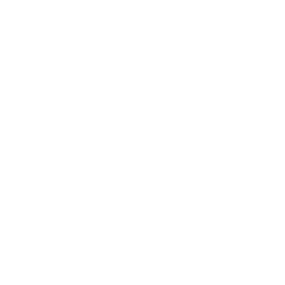 2 Page Report icon