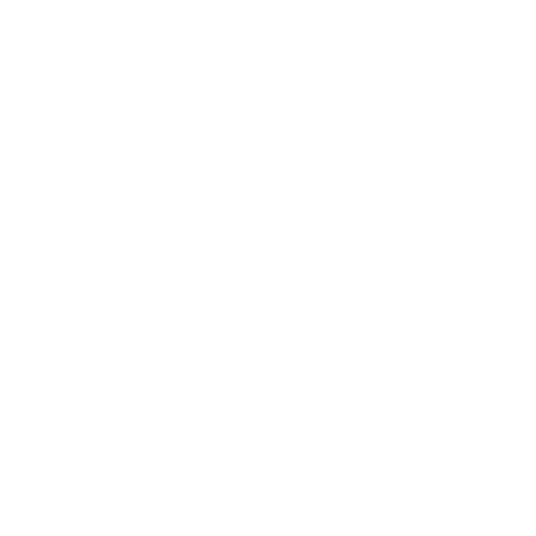 Customised Assessment icon