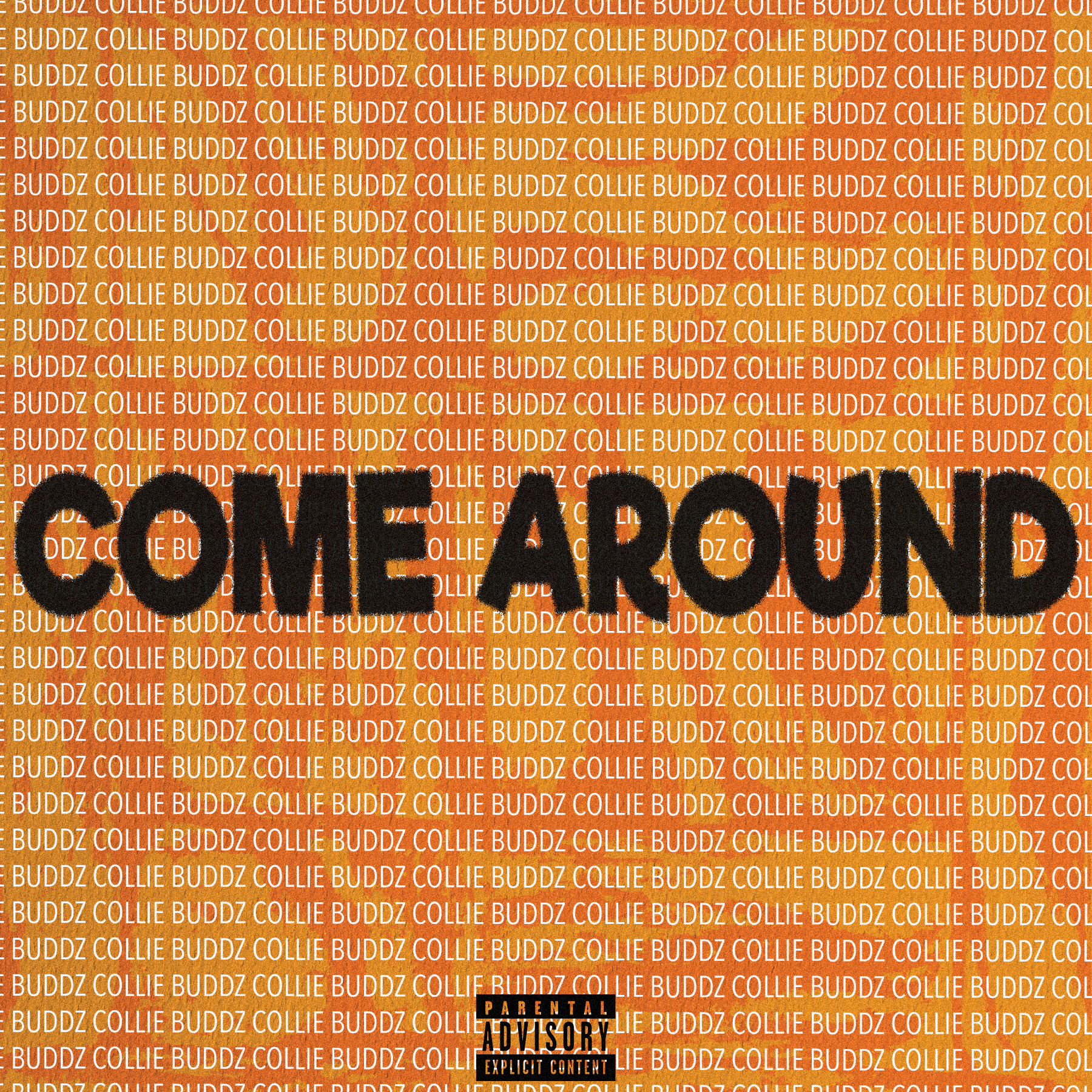 cover 3 collie bud noise.png