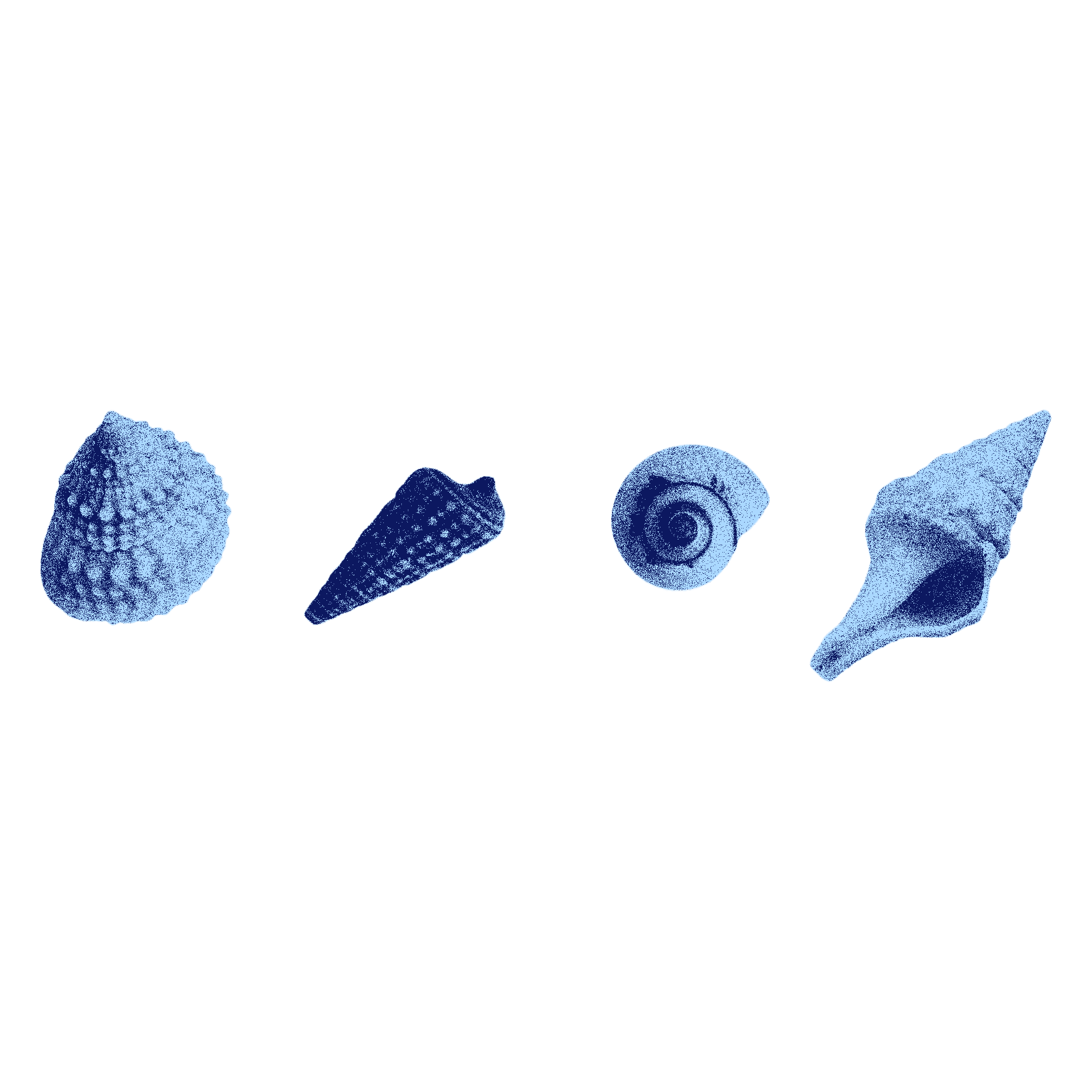 seashell sub.png