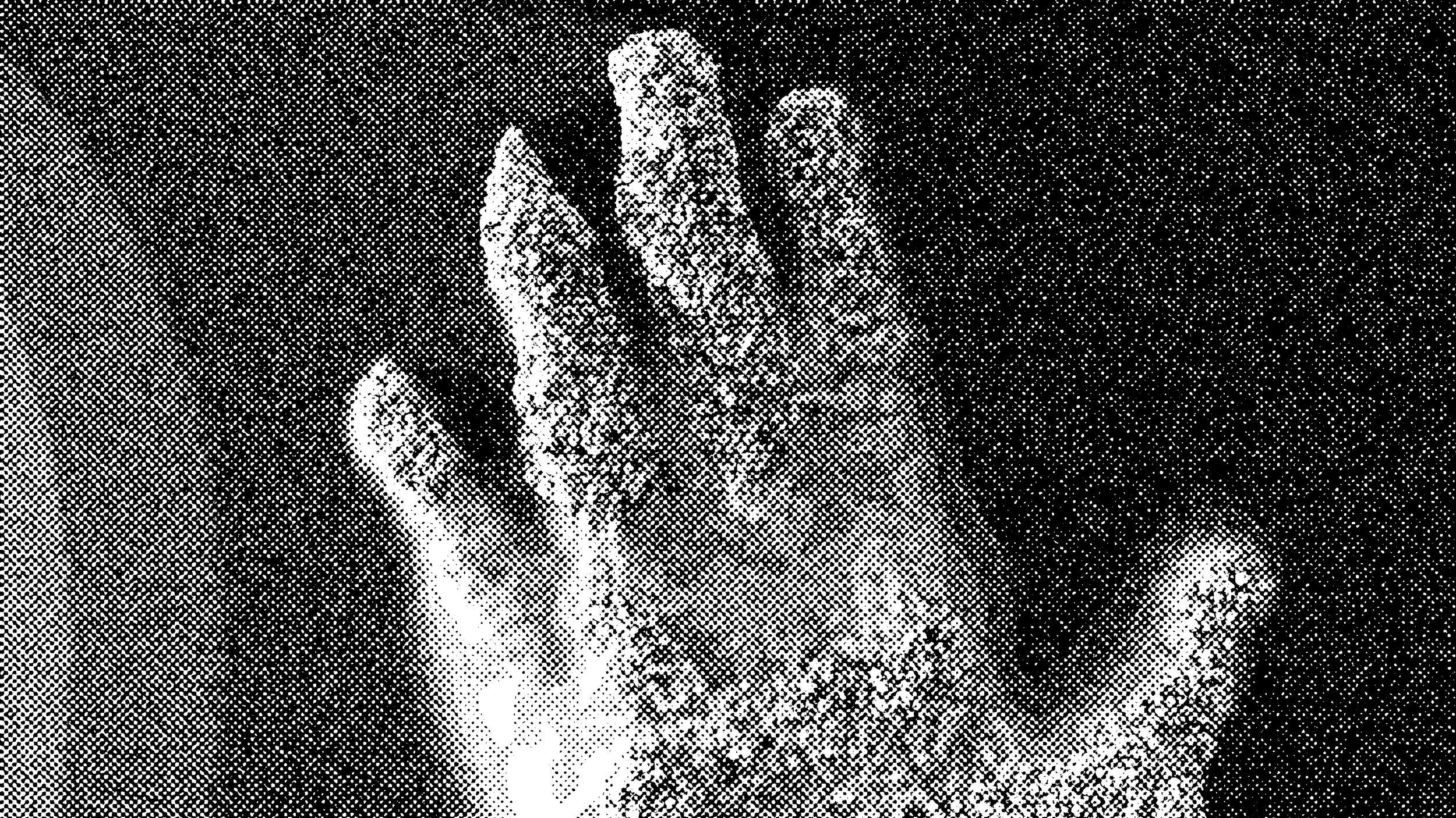 front_cover_hand_halftone.png