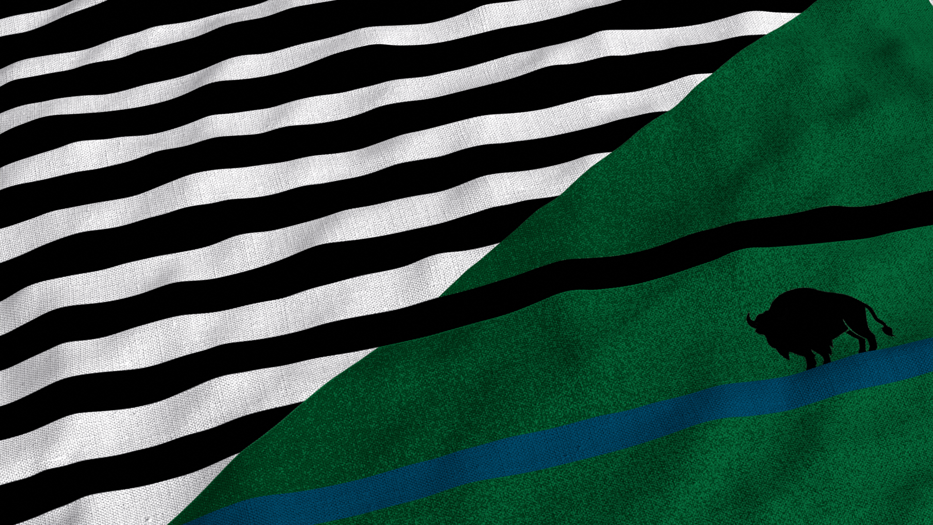 strip_closeup.png