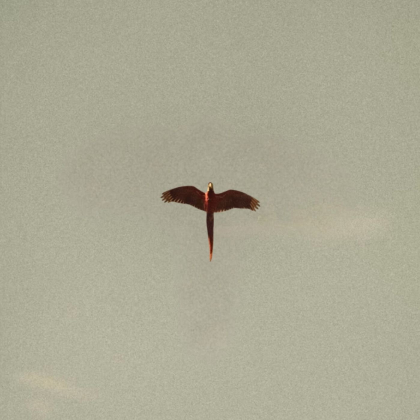An album exploring various genres