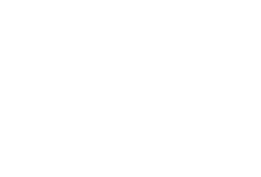 Lowe Vehicle Care
