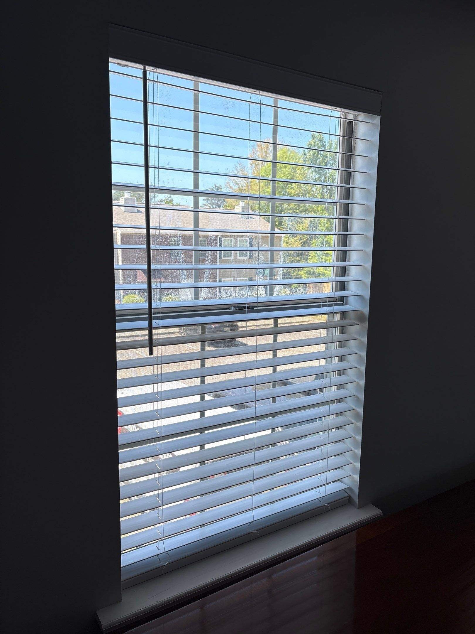 Blinds Faux Wood Blinds-17-Apr 09 2026 01_19pm-dEpm.jpg