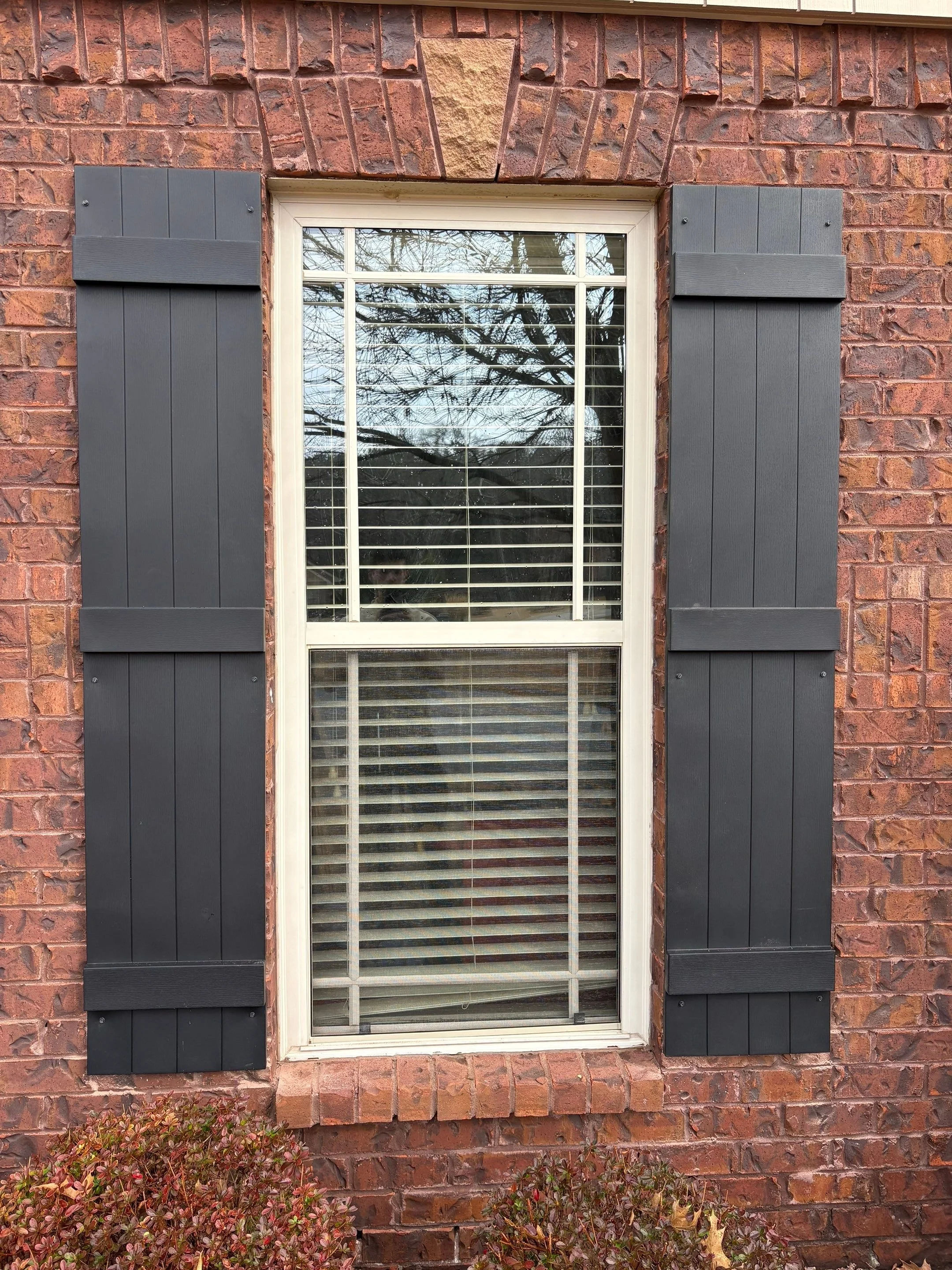A window with white trim and black shutters on a brick house exterior, reflecting tree branches and sky, with some plants at the bottom.