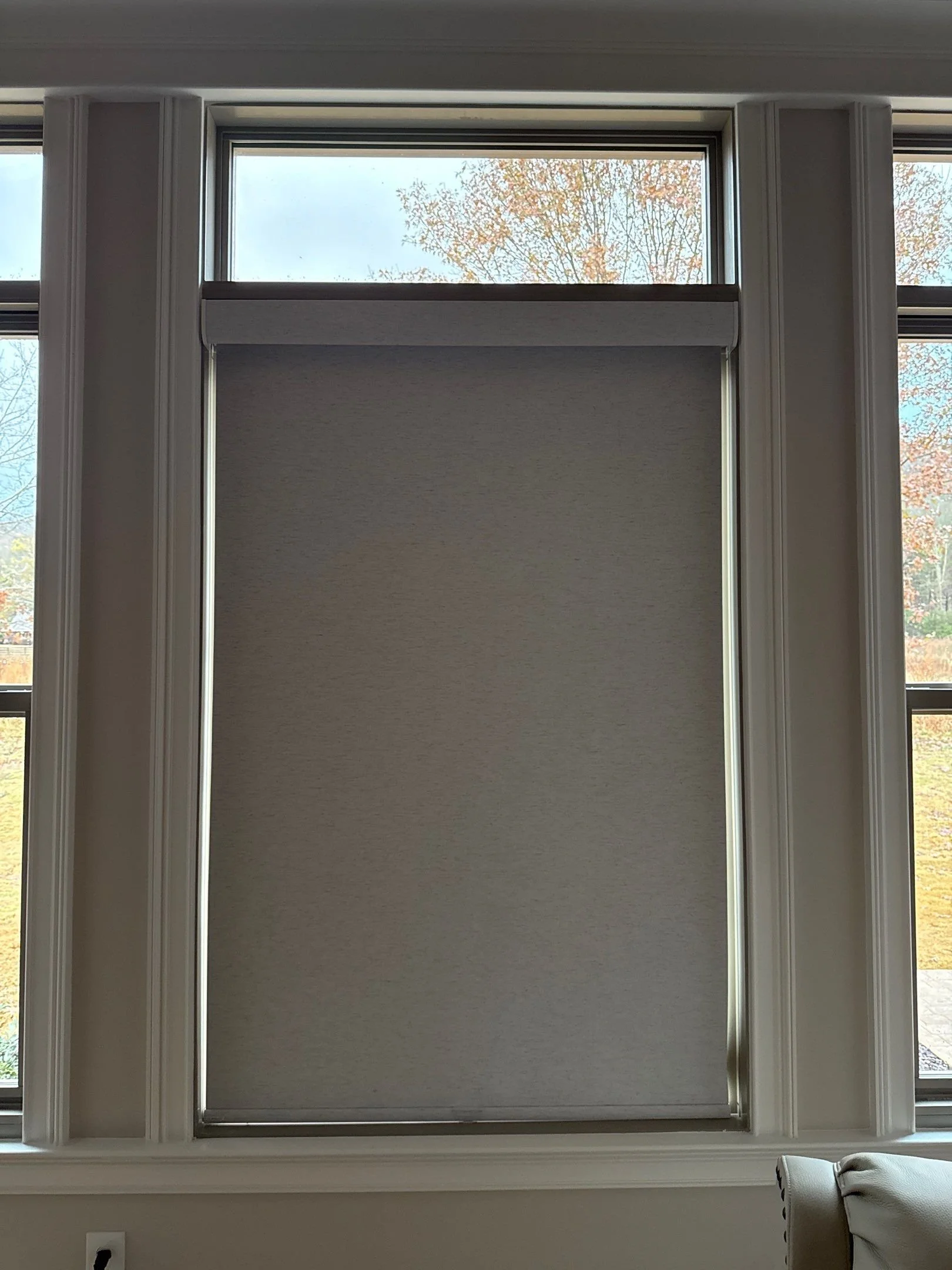 Roller shade Room Darkening Roller Shades-11-Nov 25 2025 03_59pm-nNZF.jpg