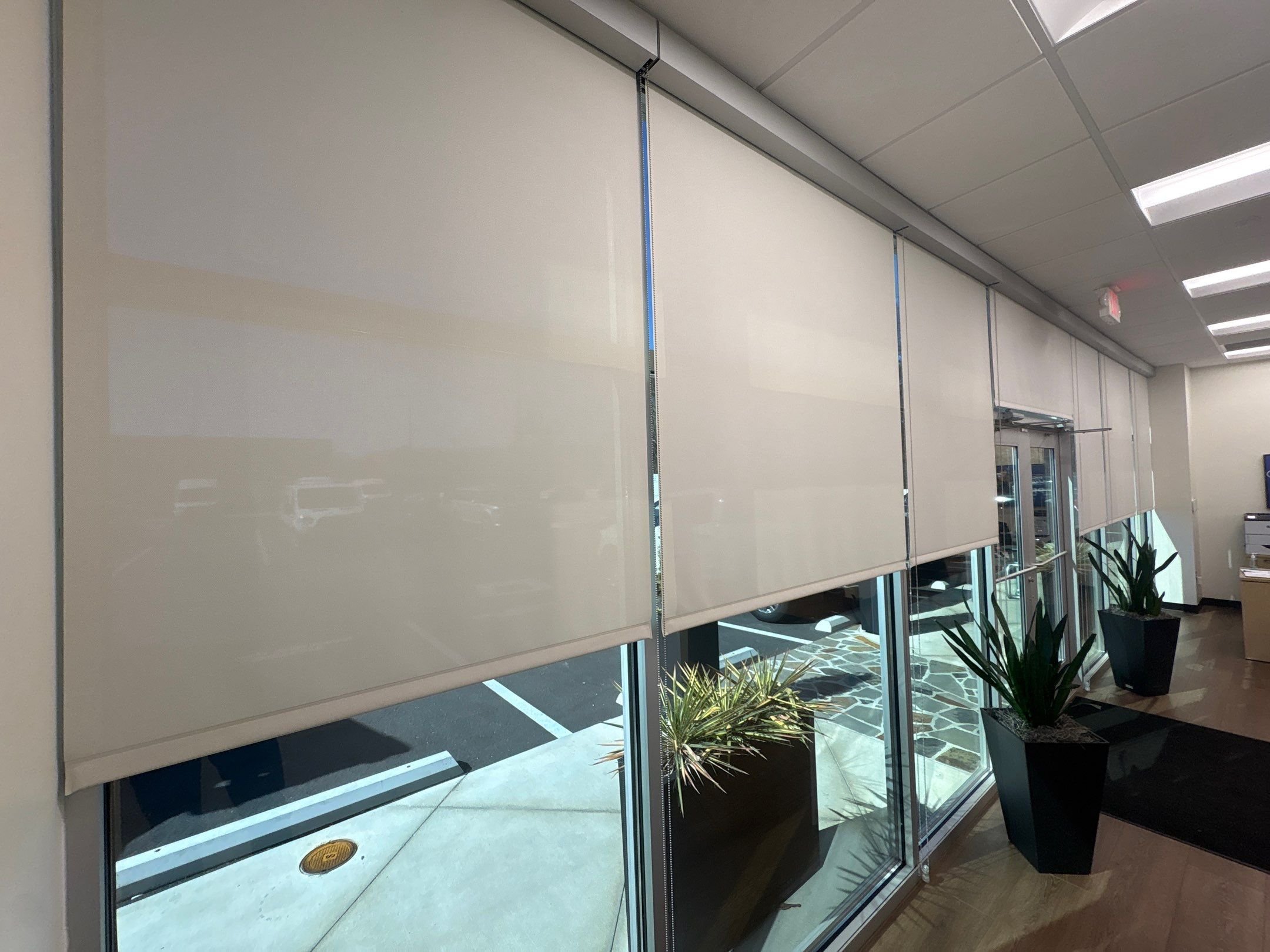 Indoor view of closed beige roller blinds on large windows in a commercial or office space with potted plants and a view of vehicles outside.