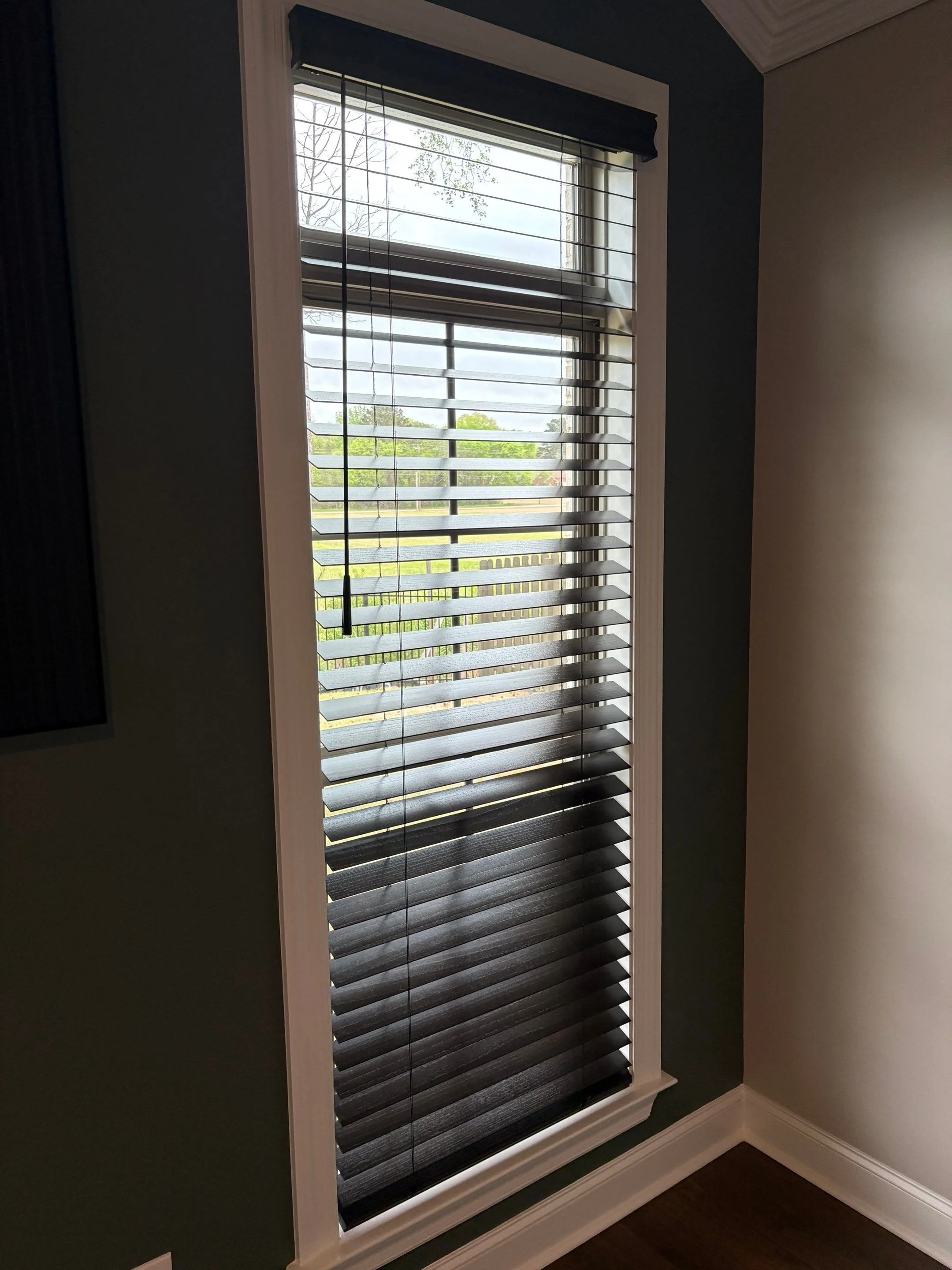 A window with black horizontal blinds, overlooking a view of trees and a cloudy sky outside.