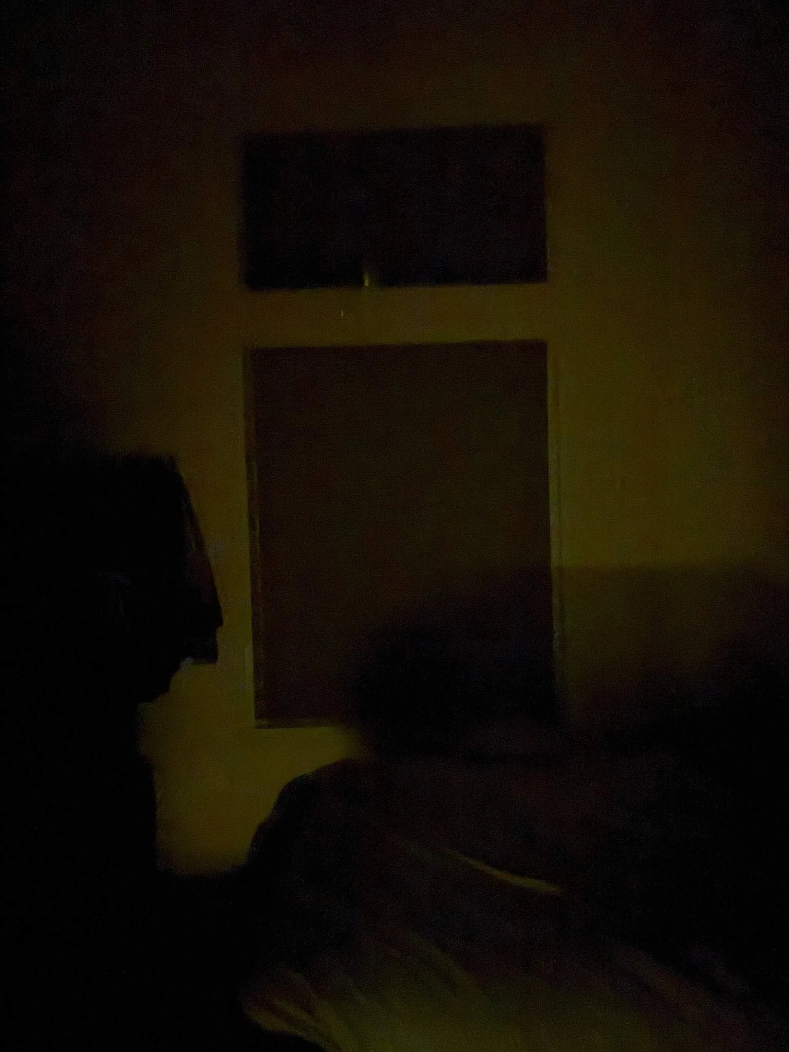 Room Darkening Honeycomb-25-Jun 25 2026 02_26pm-rYWm.jpg