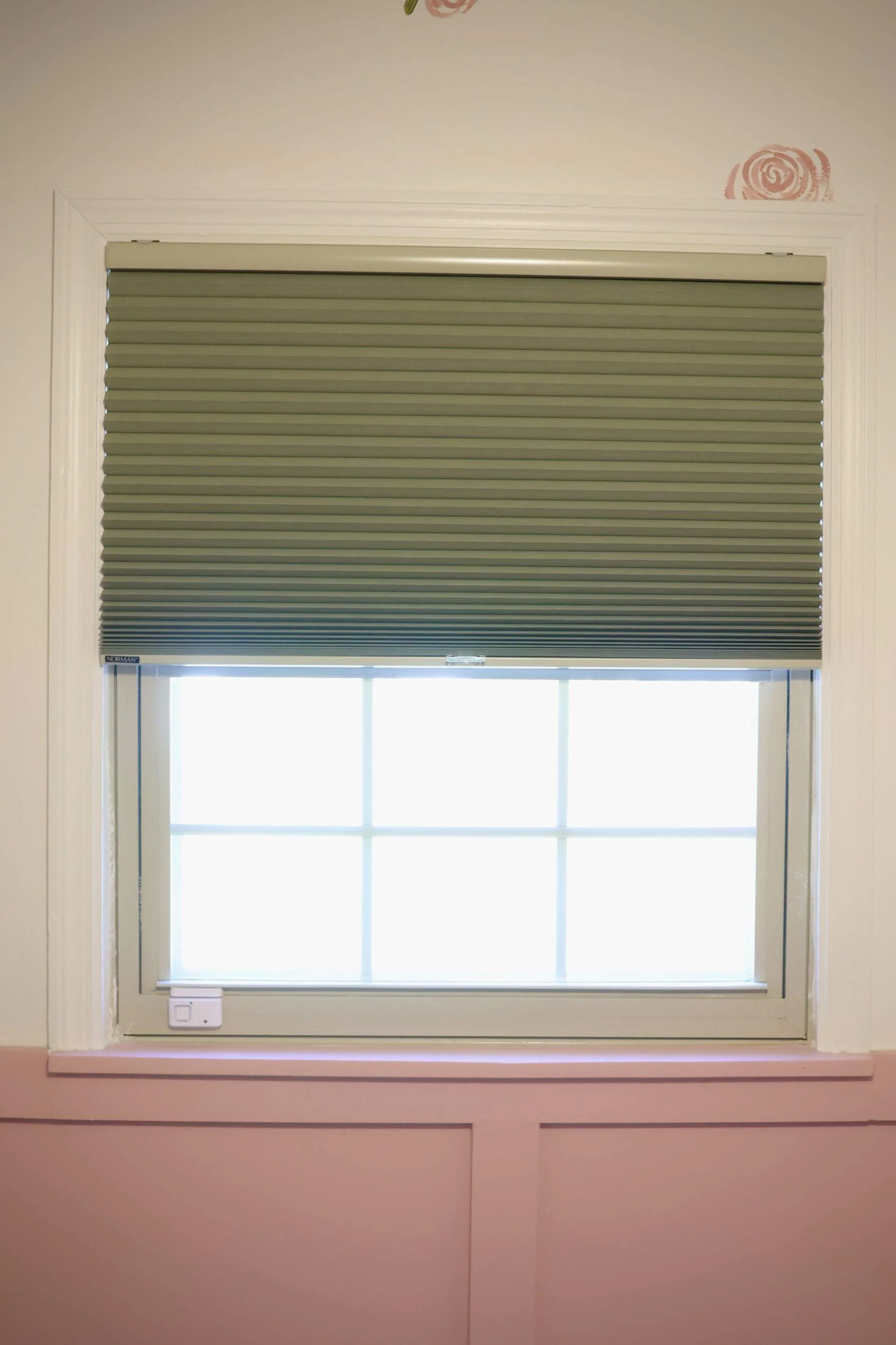Room Darkening Honeycomb-18-Mar 13 2026 06_20pm-mFsR.jpg