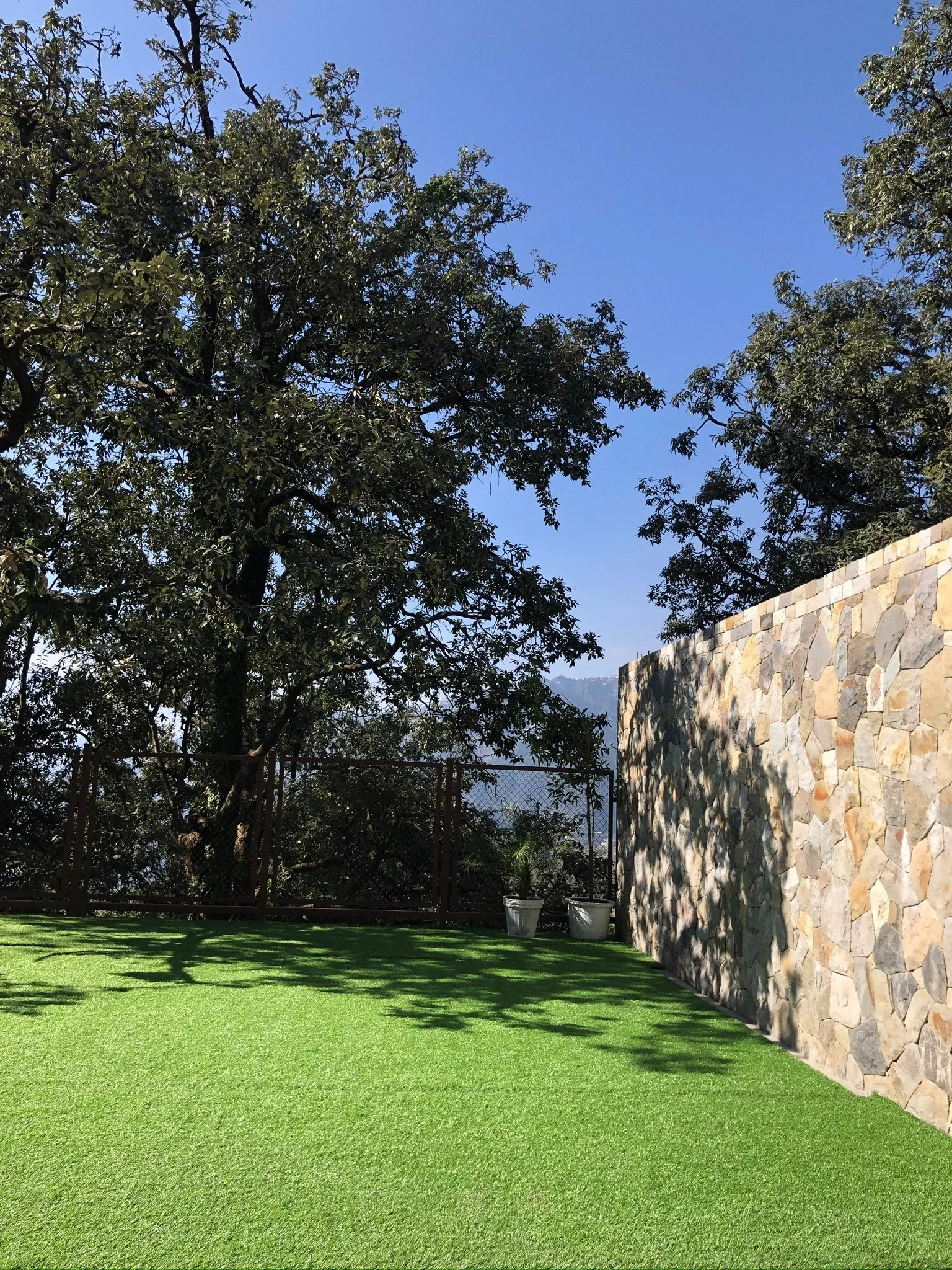 A backyard with green artificial grass, stone wall on the right, tall trees in the background, and a clear blue sky.