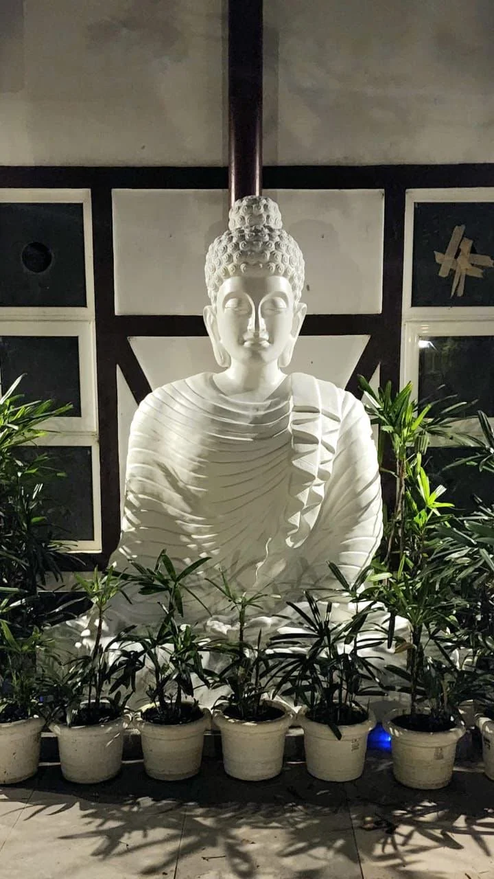 White Buddha statue with closed eyes and a peaceful expression, surrounded by potted plants, indoors at night.