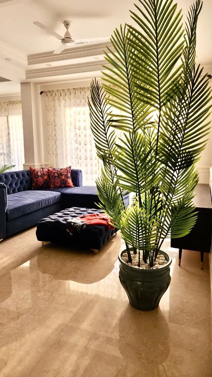 Living room with a large potted plant, navy blue sectional sofa, patterned throw pillows, and a matching ottoman on a polished marble floor.