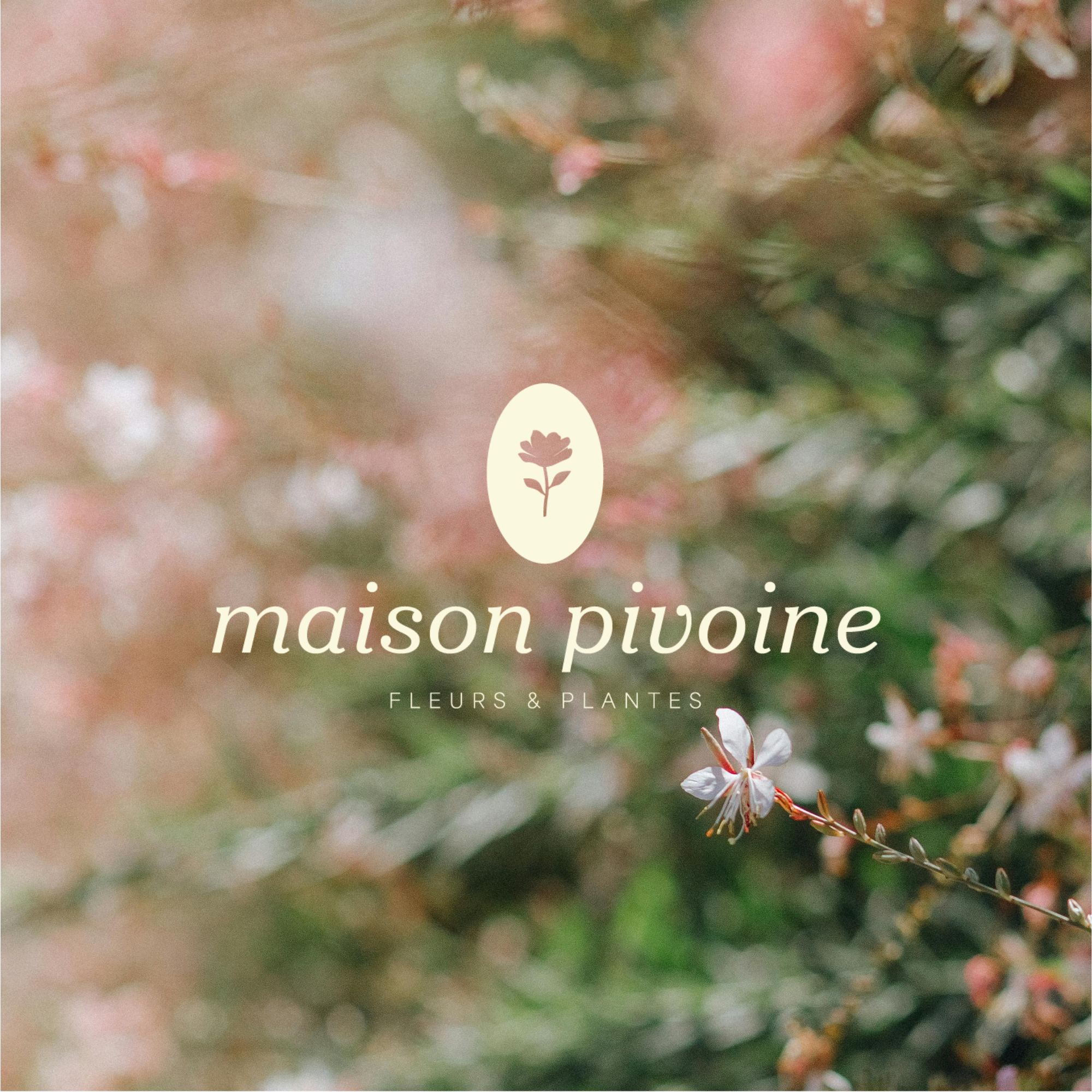 Maison Pivoine