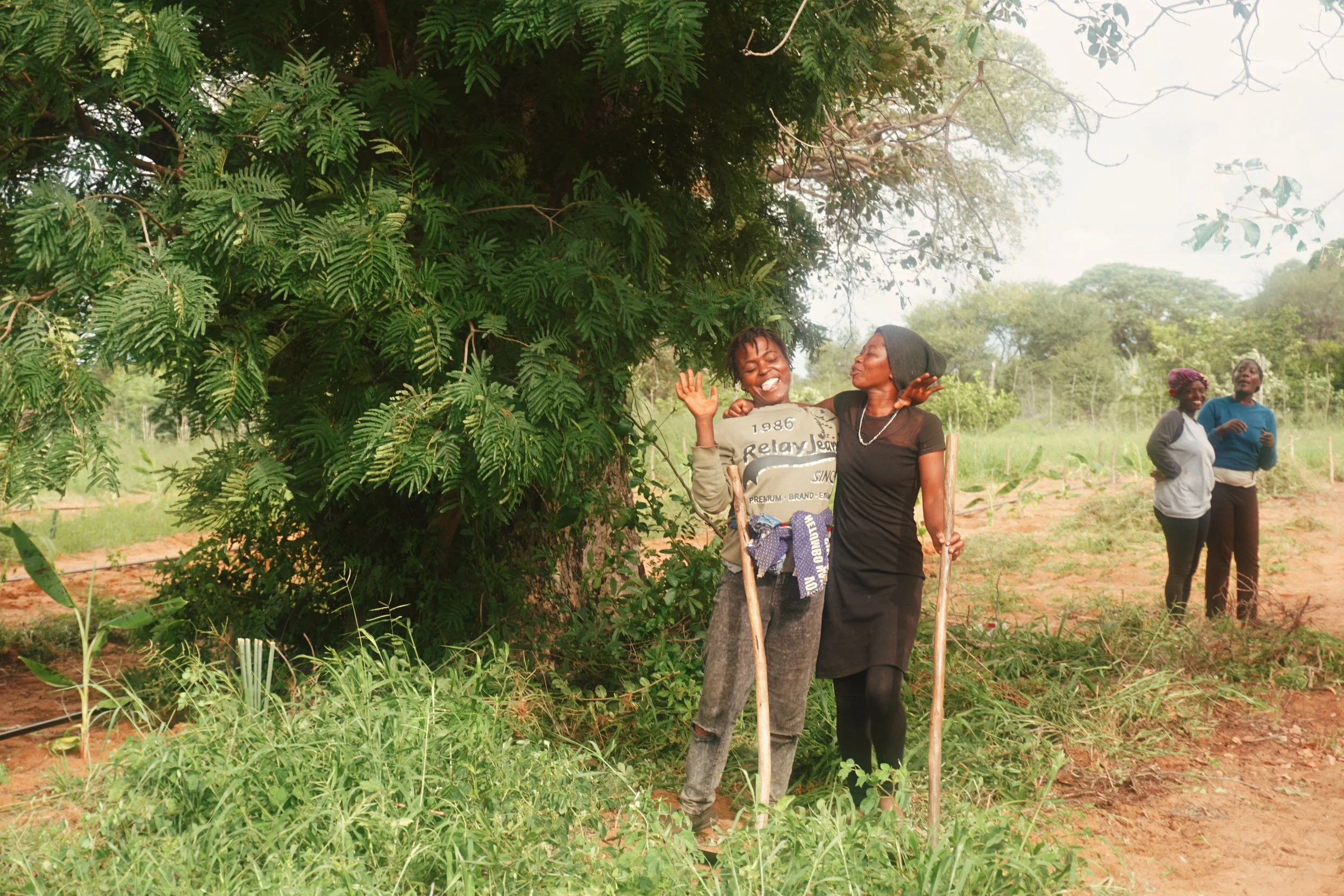 Three women standing under a large green tree in a rural area, smiling and interacting, with a bright sky and green landscape in the background.