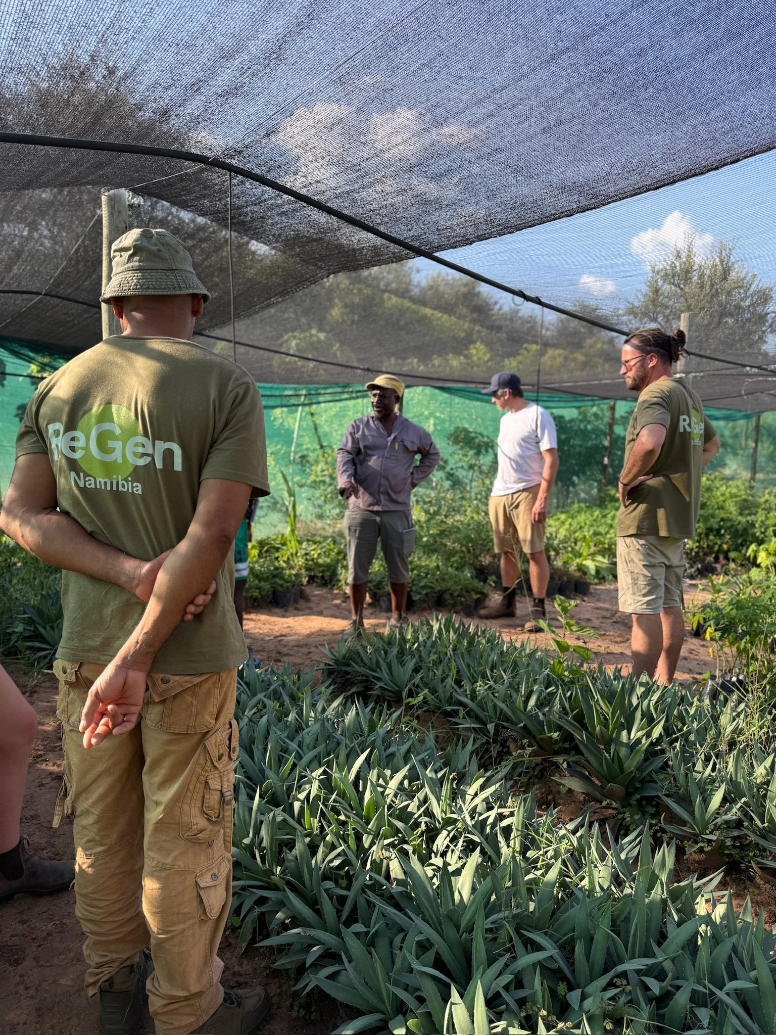 Group of people in a greenhouse or farm, engaging in agricultural discussion, surrounded by green plants under a shaded net canopy.